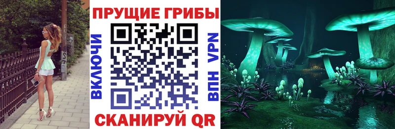 Купить  Дмитриев  Псилоцибиновые грибы мицелий 